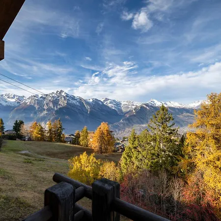 Casse-noisette Wonderful, Ski-in Ski-out 넨다즈