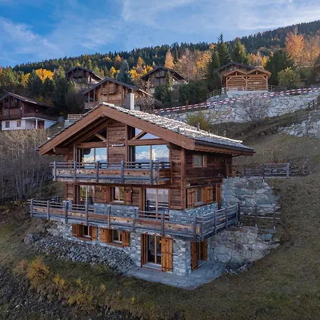 Casse-noisette Wonderful, Ski-in Ski-out